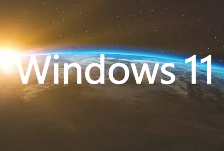 Windows11专业版英文
