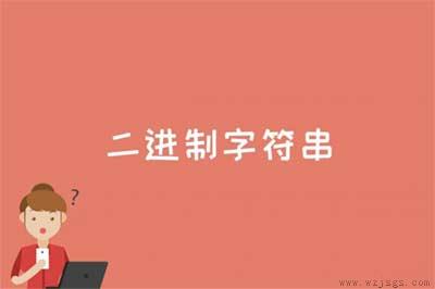 二进制字符串是什么