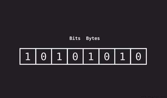 一个字节代表多少位