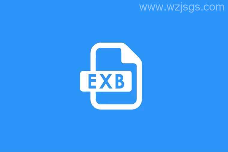 exb 文件 Exb file