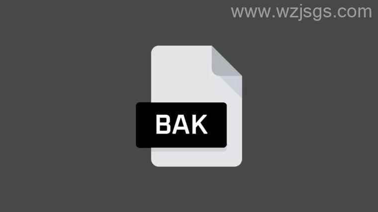 Bak file Bak 文件