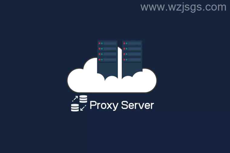 代理服务器 Proxy server