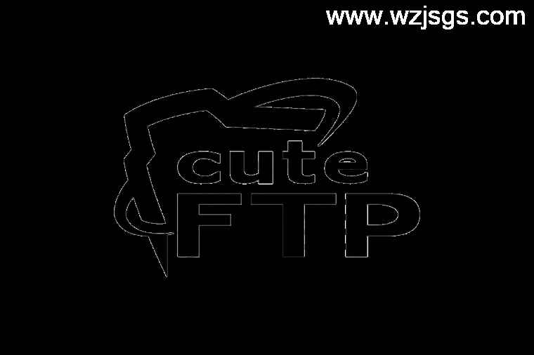 FTP工具软件 CuteFTP 产品特点