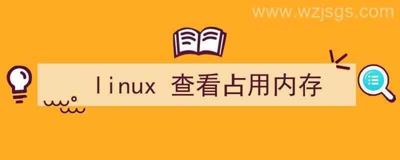 linux查看占用内存最大的进程（linux