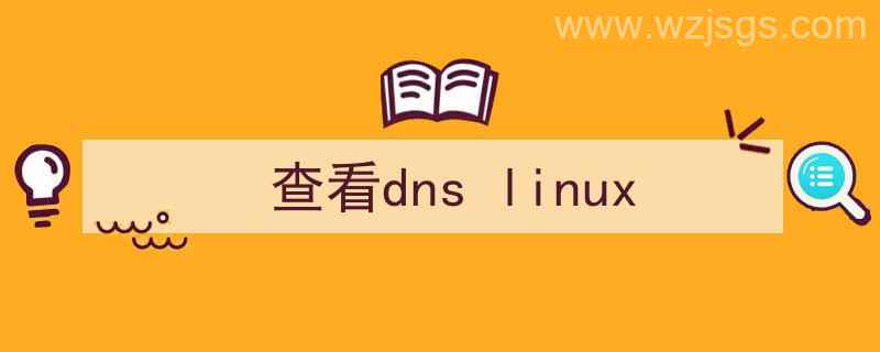 查看dnslinux（查看dns