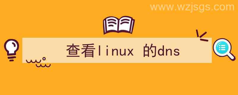 查看linux的dns（查看linux