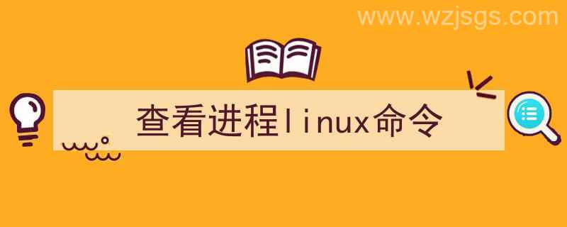 查看进程linux命令