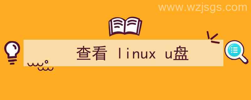 Linux查看u盘（查看