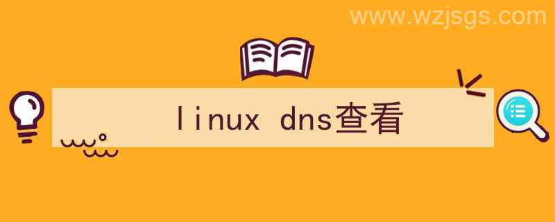 dns