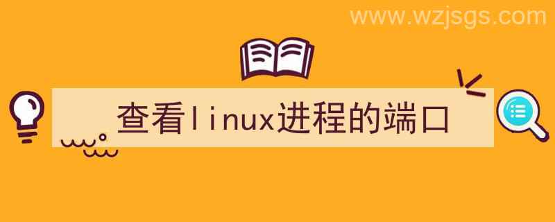 查看linux进程端口号（查看linux进程的端口）"/