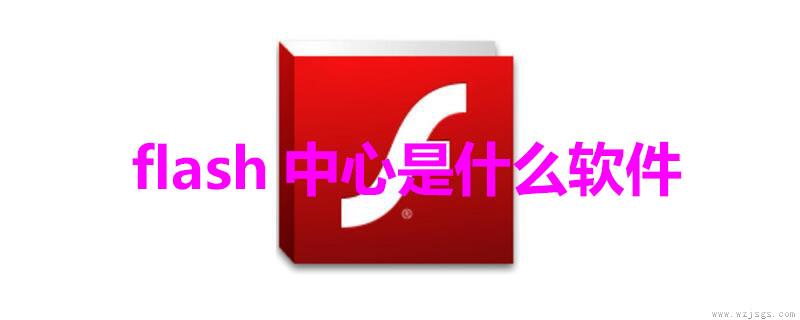 flash中心是什么软件