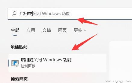 win11正式版有wsa吗详细介绍