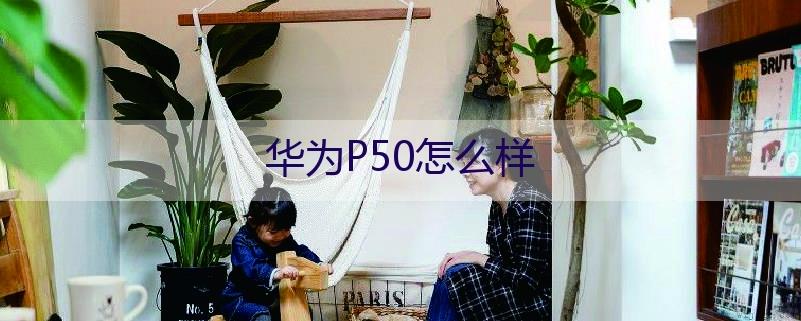 华为P50怎么样