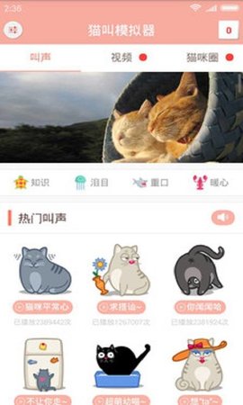 猫叫仿生器 V1.0 安卓版