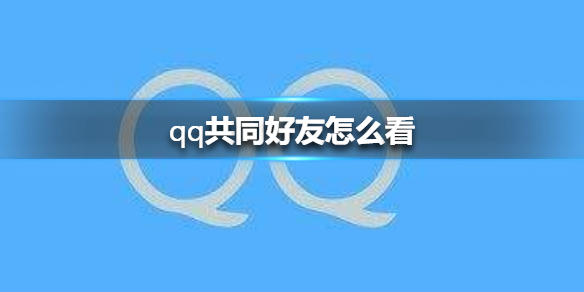 怎么查看qq共同好友 qq如何查两人具体共同好友