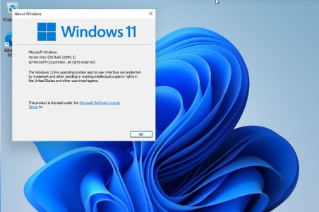 微软Win11专业版新版