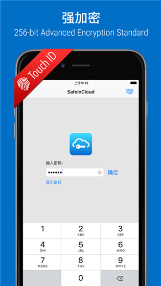 SafeInCloud