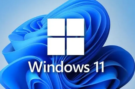 Windows11专业版英文
