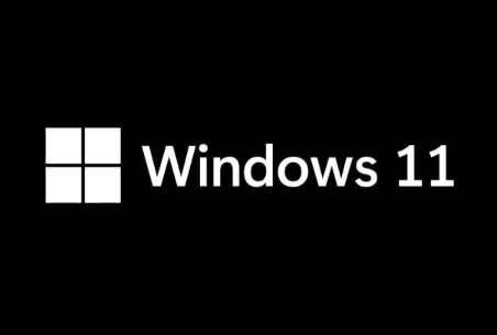 windows11纯净专业版