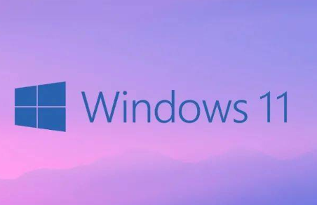 Windows11专业版免激活