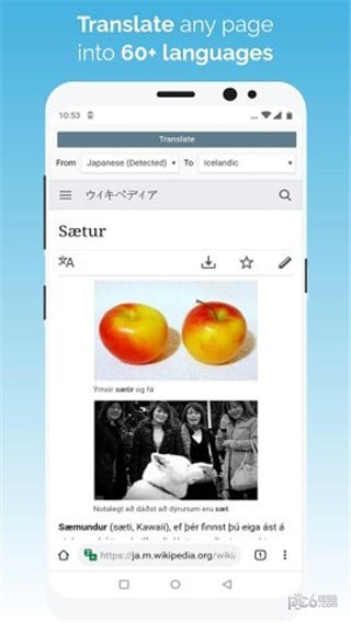 kiwi browser安卓版截图3