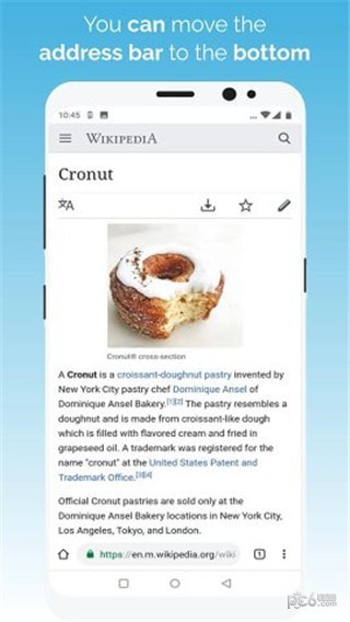 kiwi browser截图1