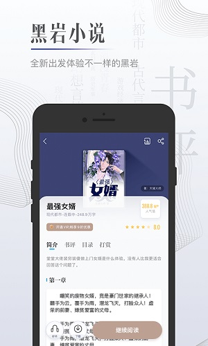 黑岩小说网截图2