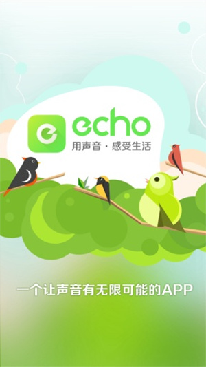 echo截图3