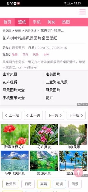 跑狗图安卓版截图3