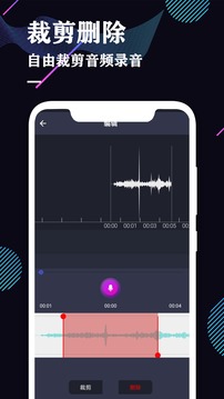 录音机安卓版截图1